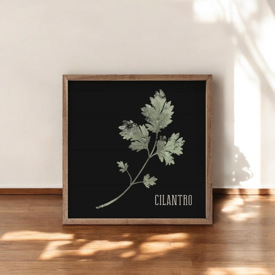 Kitchen Cilantro Wall Art (Black)