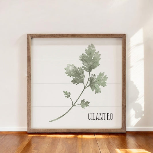 Kitchen Cilantro Wall Art (White)