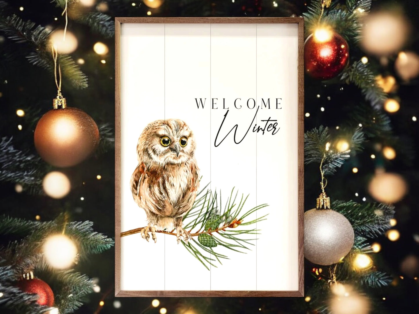 Christmas Welcome Winter Owl Artwork (White)